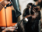 Fodrász Szeged | Netti Beauty Szépségszalon – Női és Férfi Fodrászat