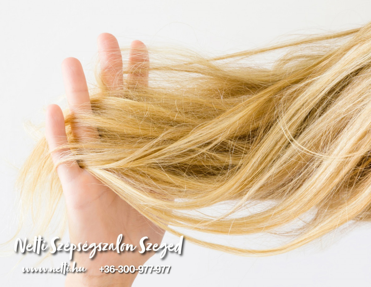 Hajregenerálás - Fodrászunk segít!